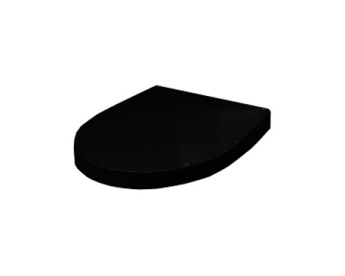 Крышка-сиденье Roca Victoria Nord Black Edition ZRU9302627