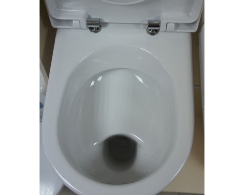 Чаша Laufen Pro