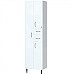 Шкаф пенал Bellezza 60 Белый