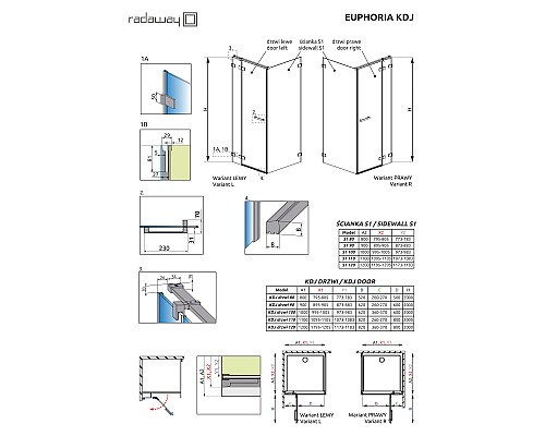 Боковая стенка для душевого уголка Radaway Euphoria S1 100x200 Хром