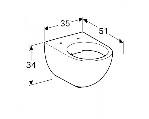 Чаша унитаза безободковая подвесная GEBERIT Acanto 500.600.01.2