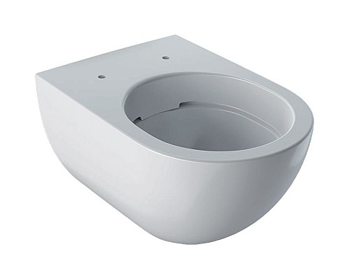 Чаша унитаза безободковая подвесная GEBERIT Acanto 500.600.01.2