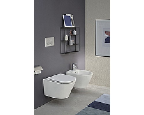 Биде Jacob Delafon Rodin+ EMJ0002-00 подвесное Белое