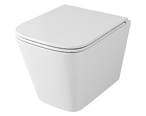 Унитаз Owl 1975 Vatter OWLT190403S подвесной с сиденьем Микролифт