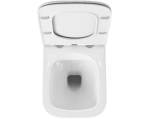 Унитаз Owl 1975 Vatter OWLT190403S подвесной с сиденьем Микролифт