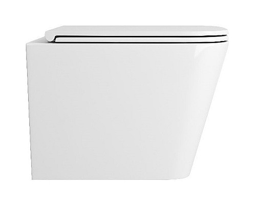 Унитаз Owl 1975 Vatter OWLT190403S подвесной с сиденьем Микролифт