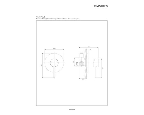 Смеситель для душа скрытого монтажа Omnires Y Y1245GLB брашированное золото
