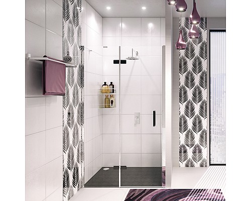 Душевая дверь WasserKRAFT 10H05LBLACK