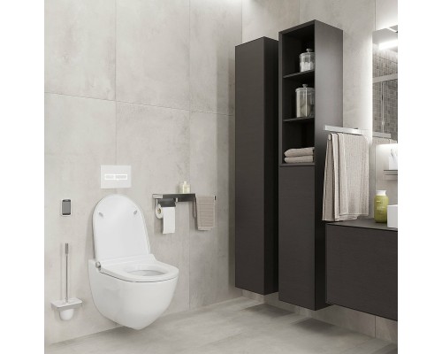 Полотенцедержатель Axor Universal Accessories 42821000 двойной поворотный Хром