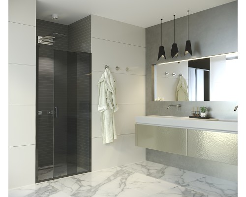 Душевая дверь Alex Baitler 110 AB64B110 профиль Черный стекло тонированное