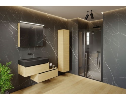 Душевая дверь Riho Lucid GD104 120х10 G005005121 (GD112B000) Черный