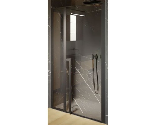 Душевая дверь Riho Lucid GD104 120х10 G005005121 (GD112B000) Черный