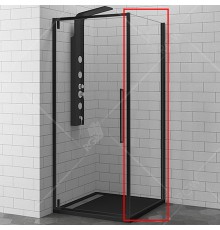 Душевая стенка RGW Z-050-3 100 профиль Черный стекло прозрачное