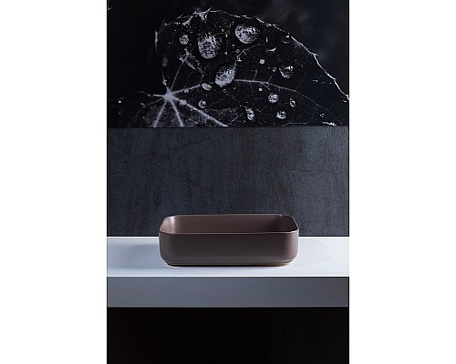 Раковина-чаша Allen Brau Fantasy 50 4.11021.TP Коричневая