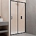 Душевая дверь RGW Passage PA-14 B 120 41081412-14 профиль Черный стекло прозрачное