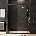 Душевая дверь AM.PM Gem 150 W90G-150-1-195BT профиль Черный матовый стекло прозрачное