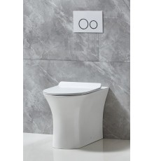 Унитаз приставной BelBagno BB1224CBR-P