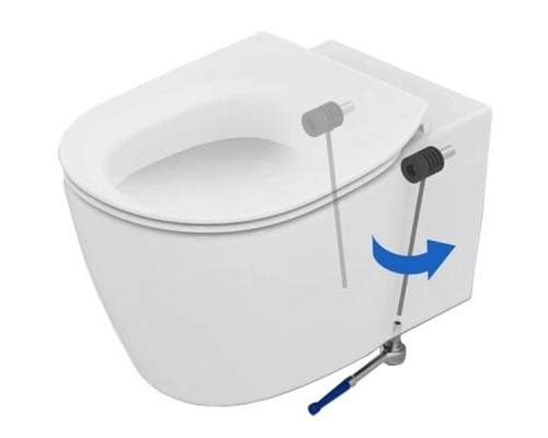 Унитаз Ideal Standard Connect E771801 подвесной без сиденья