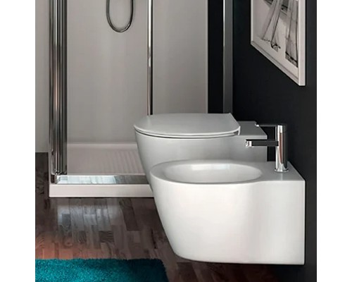 Унитаз Ideal Standard Connect E771801 подвесной без сиденья