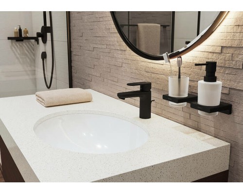 Стакан для зубных щеток Hansgrohe AddStoris 41749670 Черный матовый