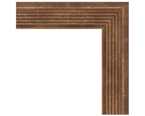 Зеркало Evoform Definite 83х63 BY 1009 в багетной раме - Сухой тростник 51 мм