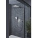 Ручной душ Grohe Rainshower SmartActive Хром