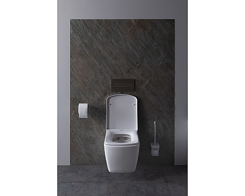 Унитаз Allen Brau Liberty 4.33004.20 подвесной Белый без сиденья