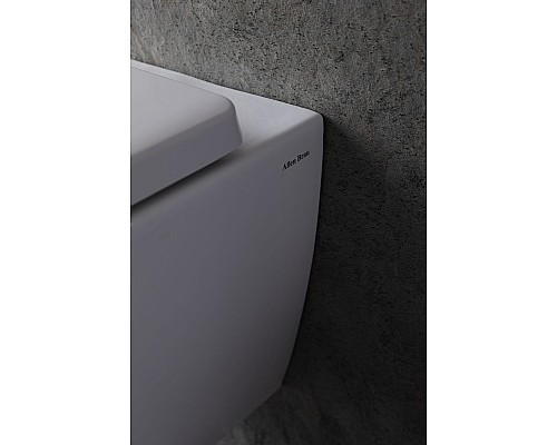 Унитаз Allen Brau Liberty 4.33004.20 подвесной Белый без сиденья