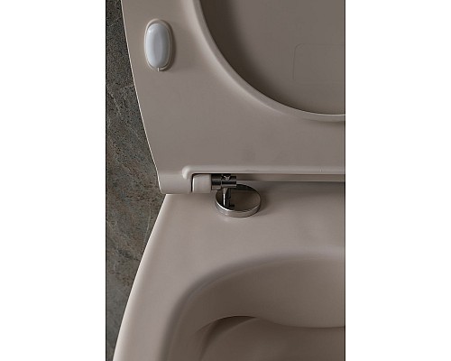 Унитаз Allen Brau Fantasy 4.11004.IV подвесной Айвори без сиденья