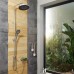Душевой гарнитур с верхней лейкой IDDIS SpaHome