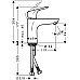 Смеситель для раковины Hansgrohe Focus 31517000