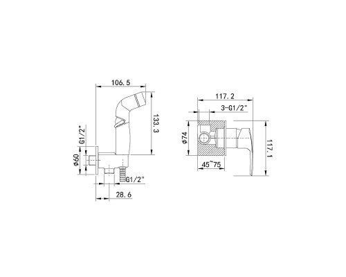 Гигиенический душ со смесителем Iddis Ray RAYSBR2i08 Хром