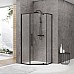 Душевое ограждение Black & White S875100x100