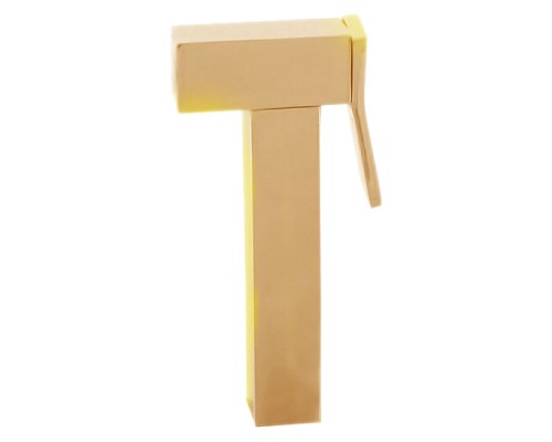 Лейка для гигиенического душа Rav Slezak KS0007Z золотая