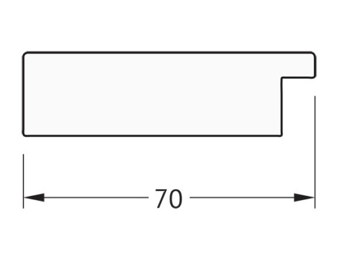 Зеркало Evoform Definite Floor 197х78 BY 6005 в багетной раме - Соты алюминий 70 мм