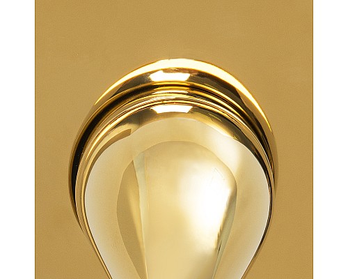 Гигиенический душ WasserKRAFT A216 Золото