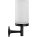 Стакан для зубных щеток Duravit Starck T Черный матовый