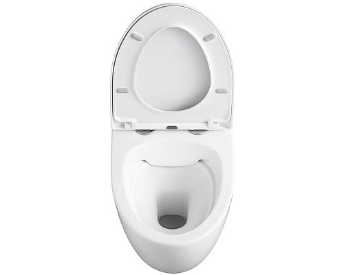 Унитаз Black&White Universe 751w00 подвесной с сиденьем Микролифт