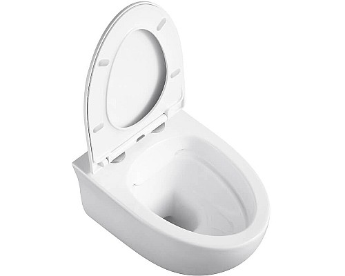 Унитаз Black&White Universe 751w00 подвесной с сиденьем Микролифт