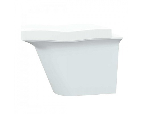 Унитаз подвесной Bien Lotus с биде LTKA054GMVP1W3000