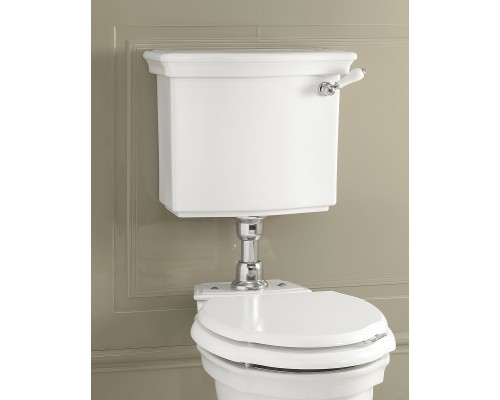 Ручка управления механизма смыва Devon&Devon IBLEVADX/CR Хром Белая