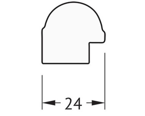 Зеркало Evoform Definite 97х47 BY 0695 в багетной раме - Золотой бамбук 24 мм