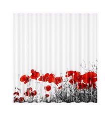 Шторка для ванной WasserKRAFT SC-47101