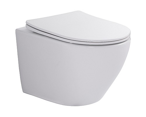 Унитаз WellWant Aura WWU01122W подвесной с сиденьем Микролифт