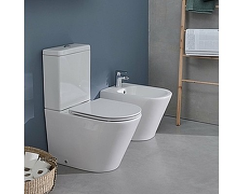 Биде Jacob Delafon Rodin+ EBJ0002-00 Белое