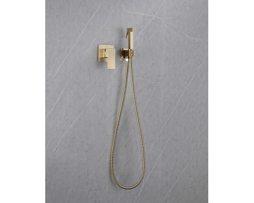 Гигиенический душ со смесителем Abber Daheim AF8225G Золото матовое