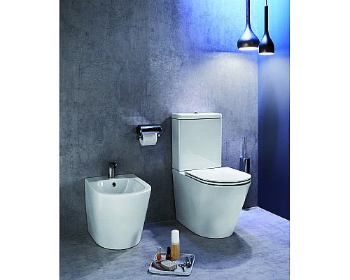 Унитаз Jacob Delafon Rodin+ UJAB102-00 без бачка и сиденья