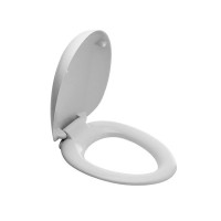 Крышка-сиденье Laufen Alessi One с микролифтом, петли хром