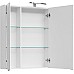 Зеркало-шкаф Aquanet Августа 100 белый