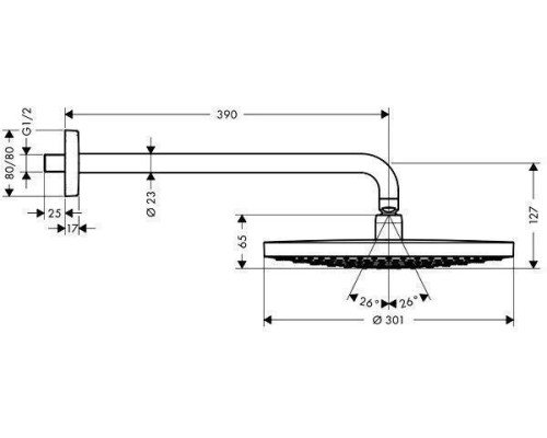 Верхний душ Hansgrohe Raindance Select S 300